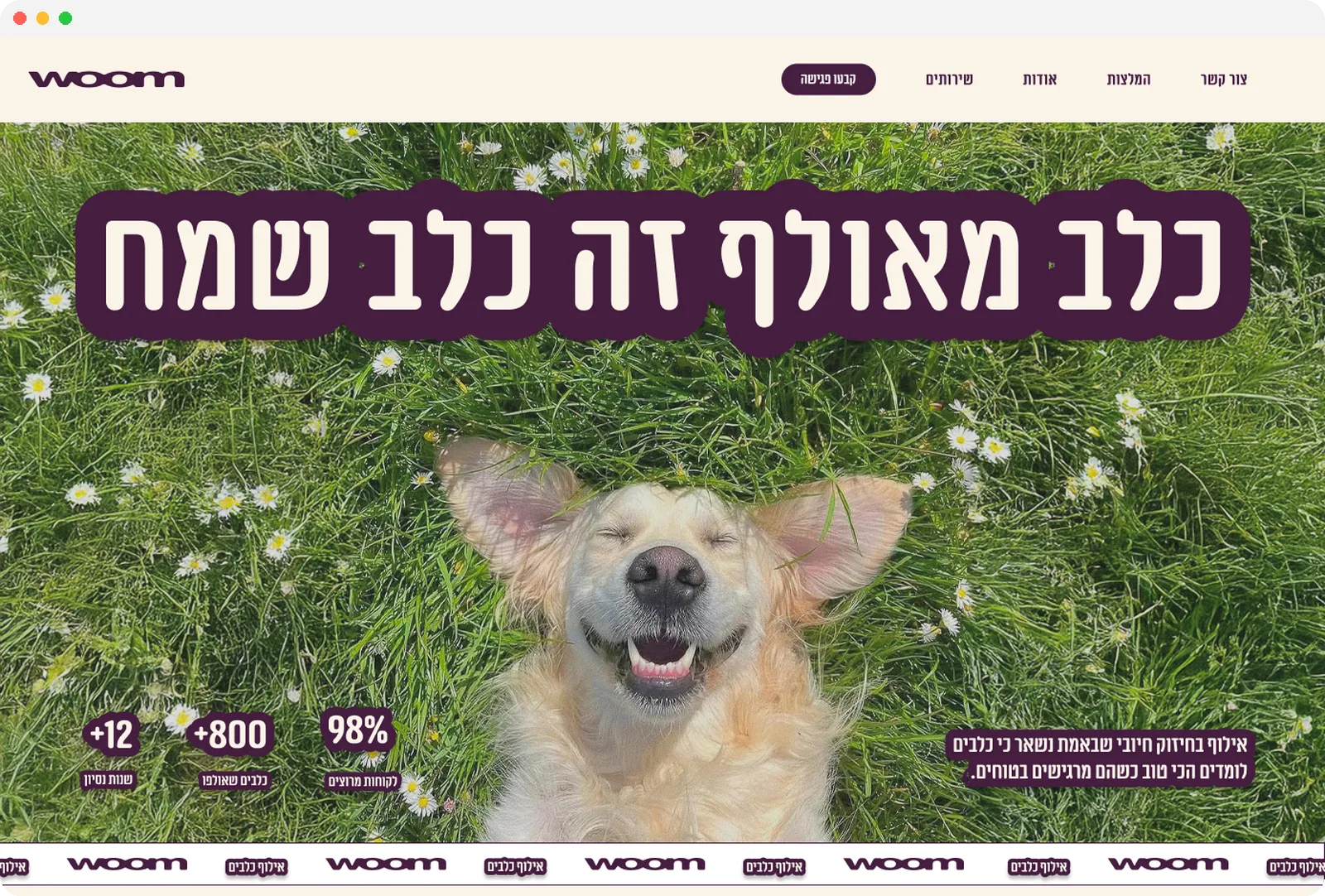 Woom homepage hero: a happy golden retriever lying in the grass under the headline 'A trained dog is a happy dog'